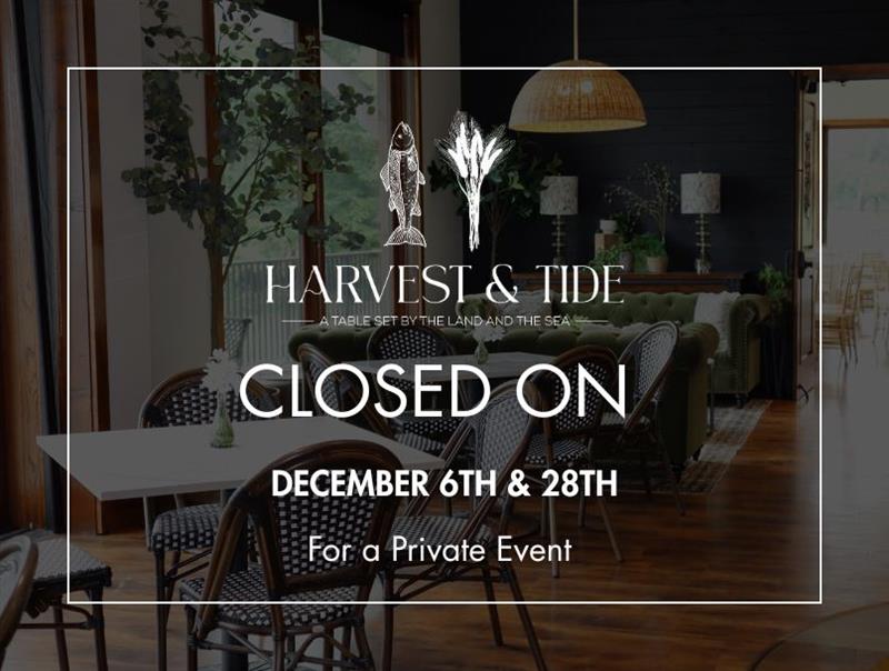 Vivamee Pop Ups (29)