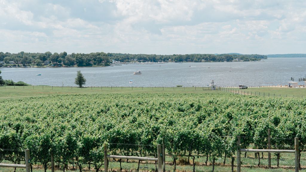 Where the Chesapeake Meets Wine Country